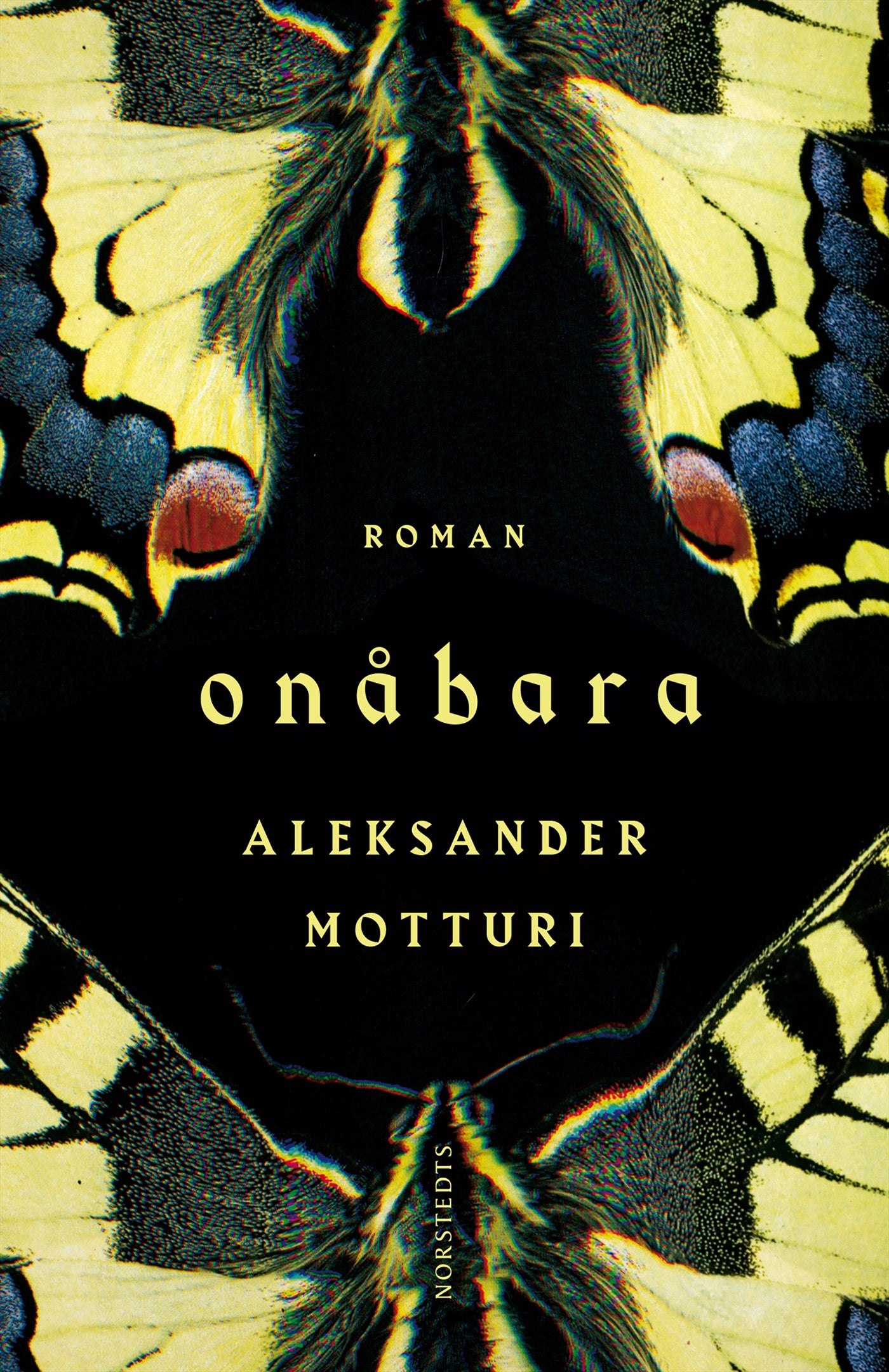 Onåbara – E-bok