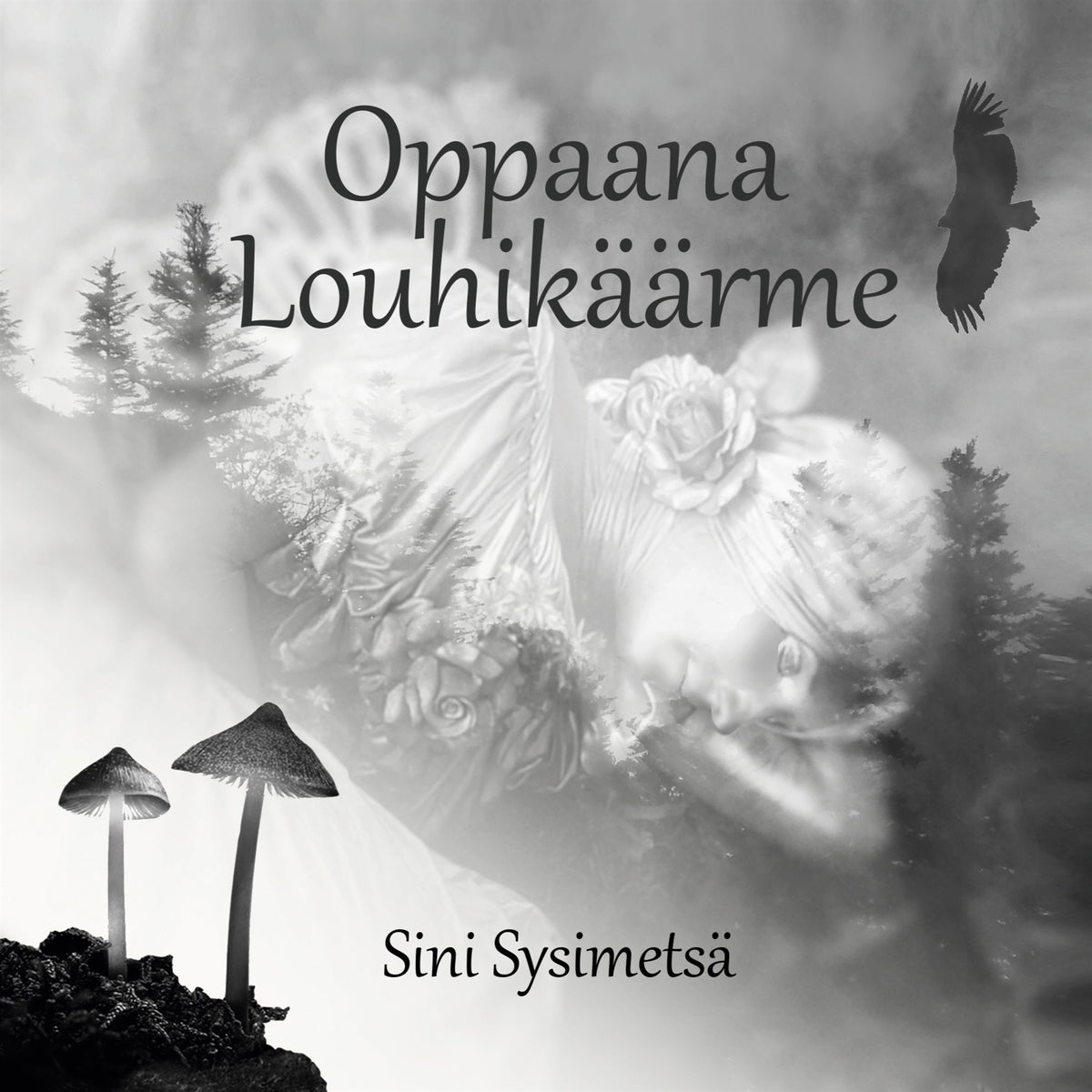 Oppaana Louhikäärme – E-bok