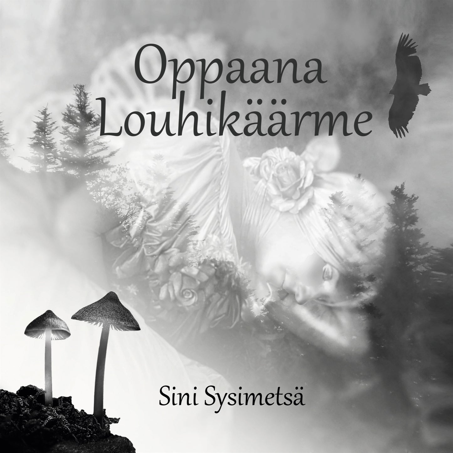 Oppaana Louhikäärme – E-bok