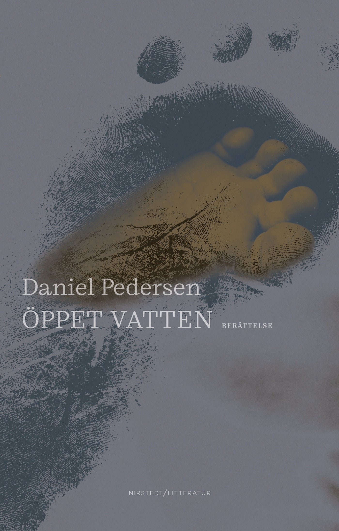 Öppet vatten – E-bok
