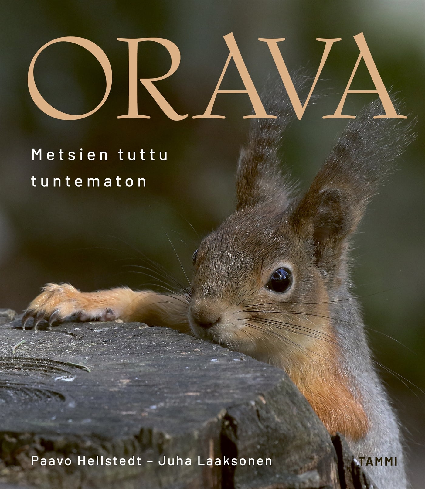 Orava – E-bok
