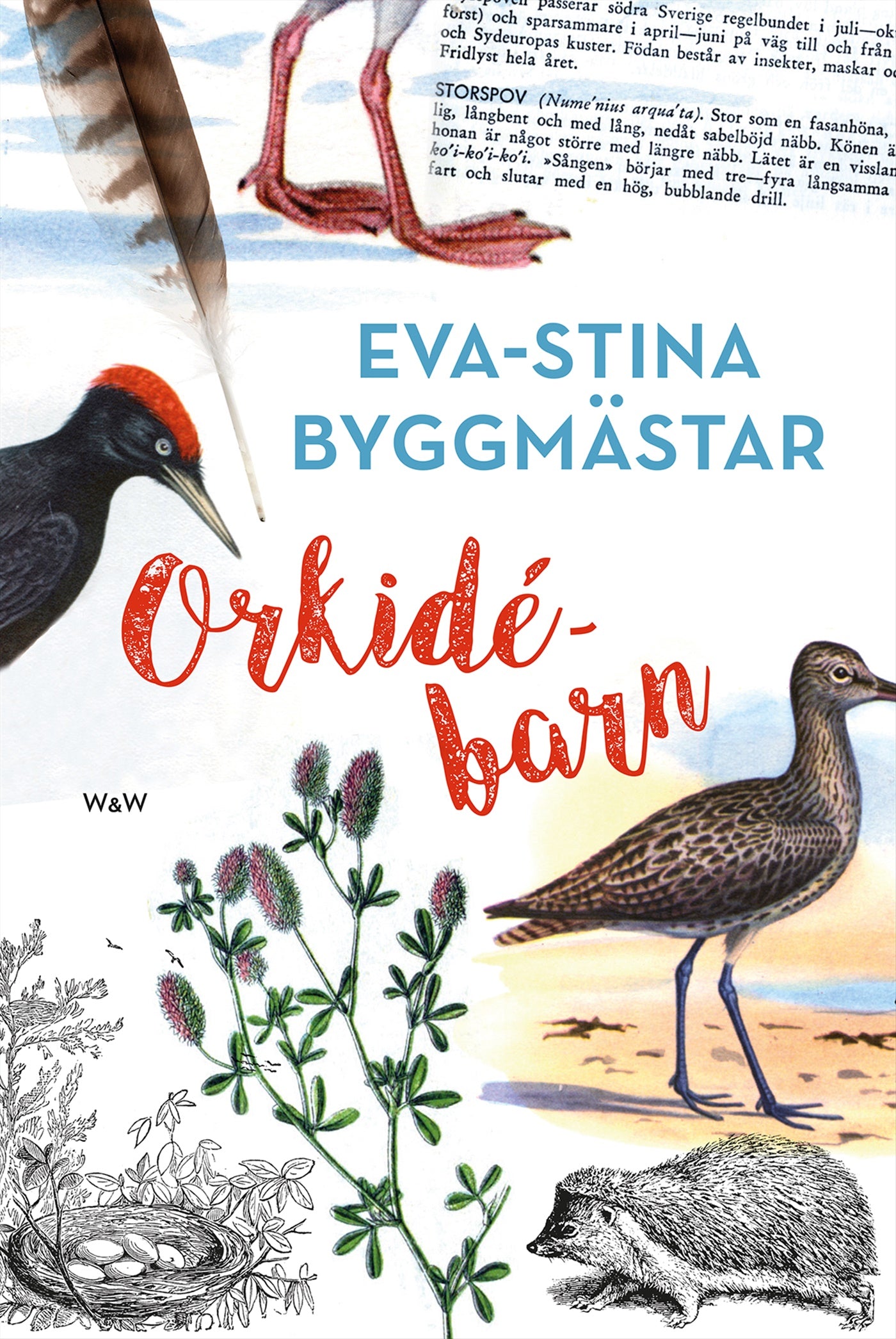 Orkidébarn – E-bok