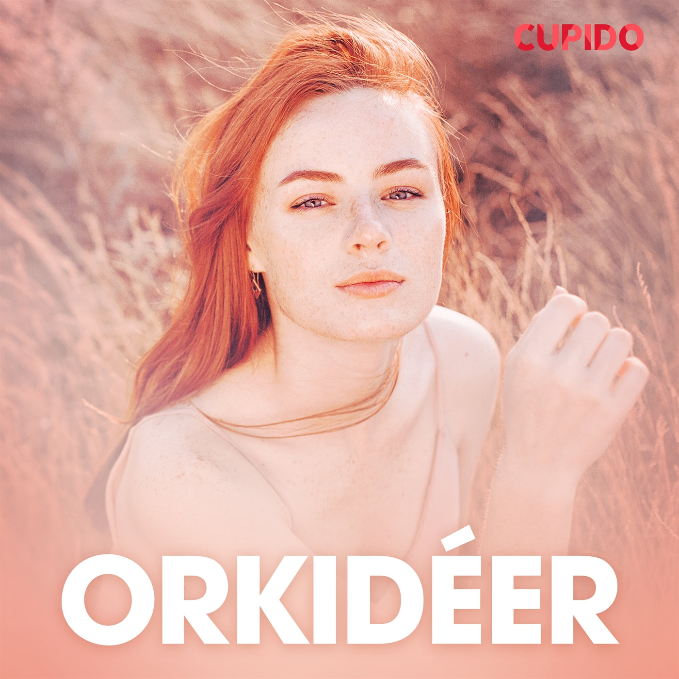 Orkidéer - erotiska noveller – Ljudbok