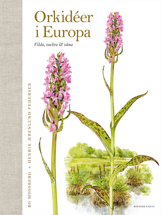 Orkidéer i Europa : vilda, vackra & väna – E-bok