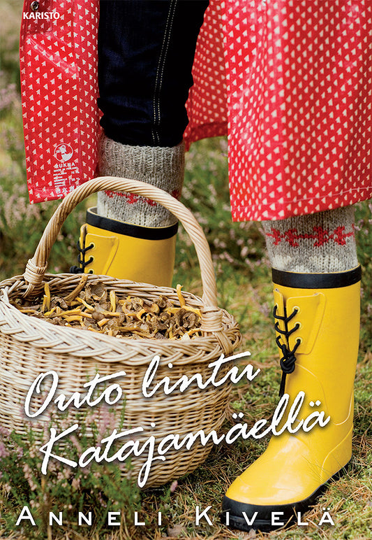 Outo lintu Katajamäellä – E-bok