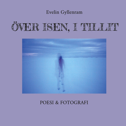 Över isen, i tillit – E-bok