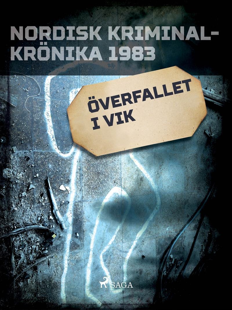 Överfallet i Vik – E-bok