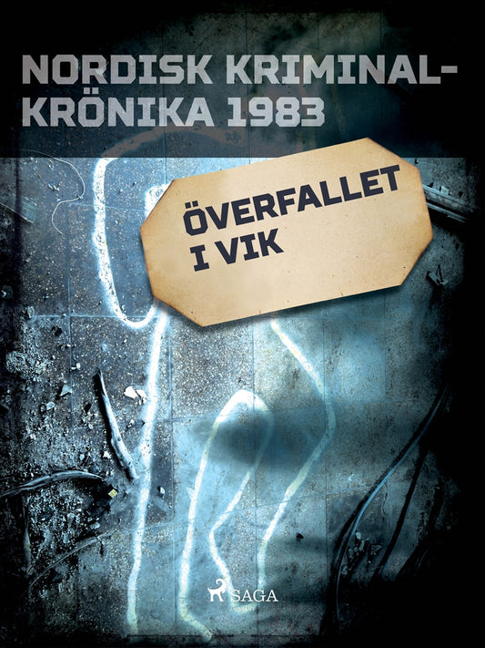 Överfallet i Vik – E-bok