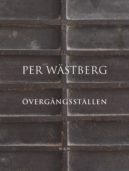 Övergångsställen – E-bok