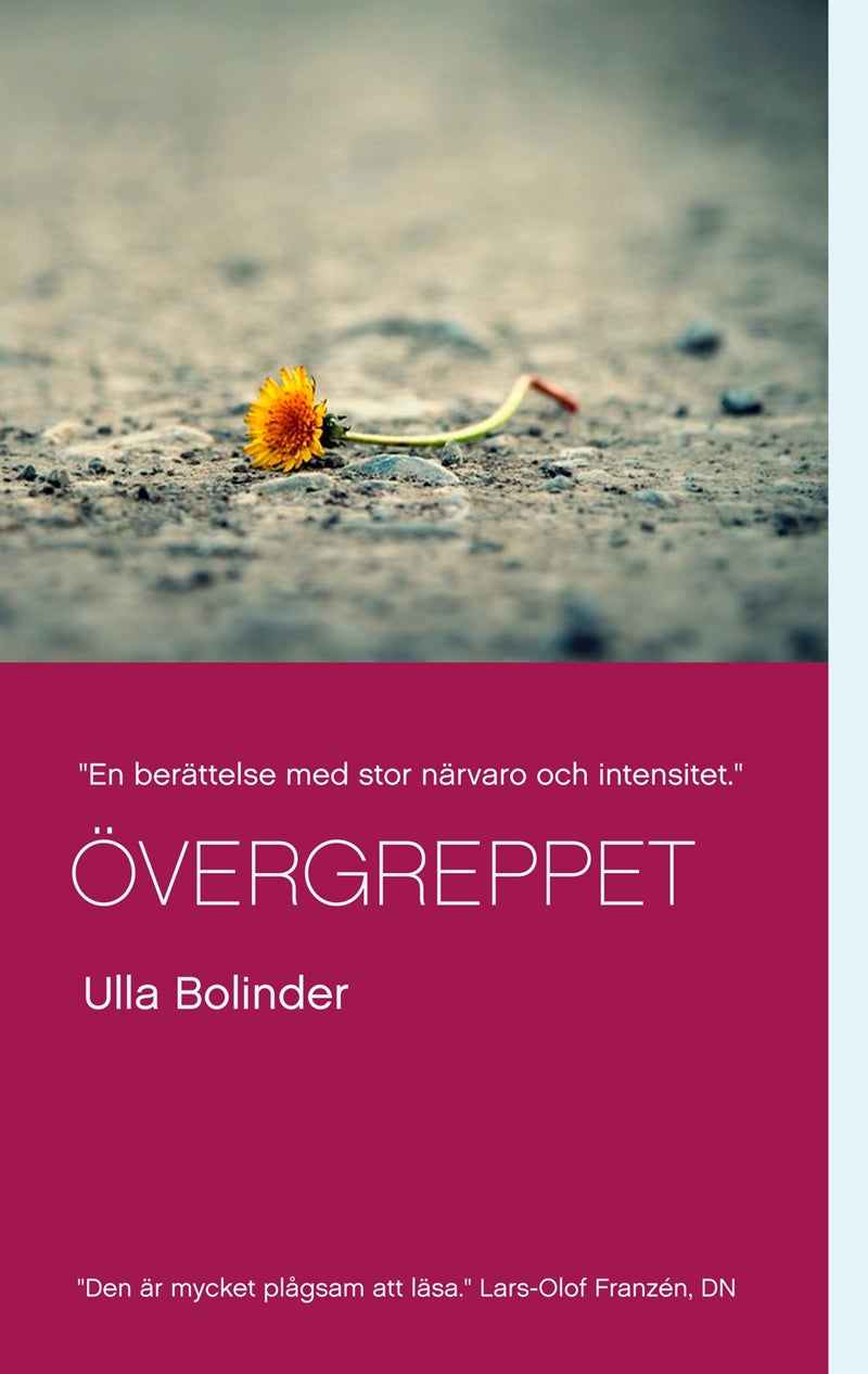 Övergreppet – E-bok