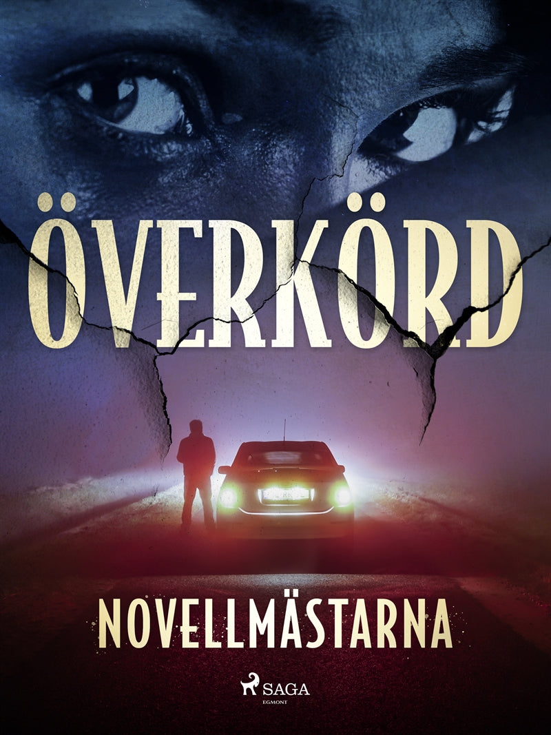 Överkörd – E-bok