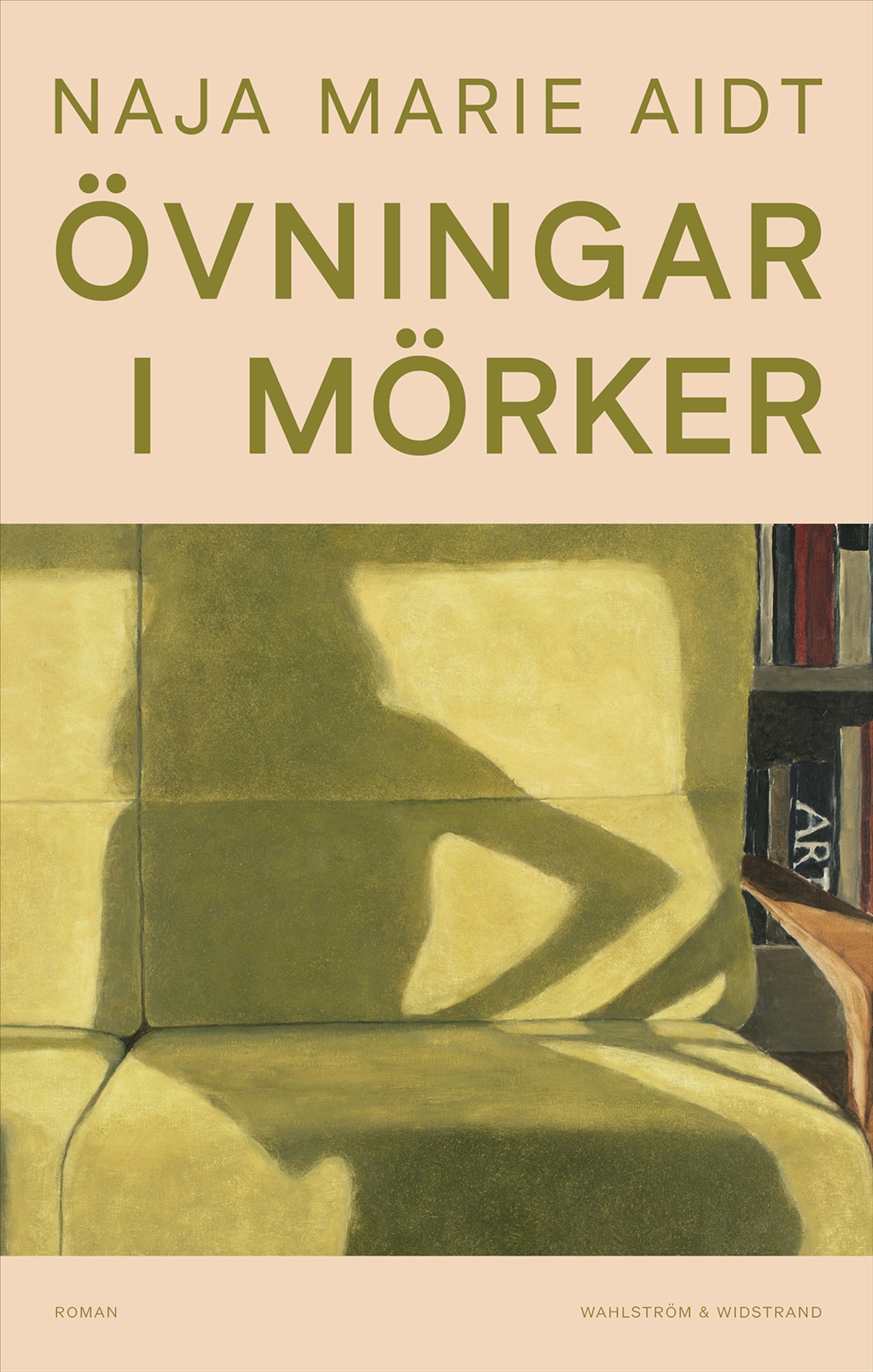 Övningar i mörker – E-bok