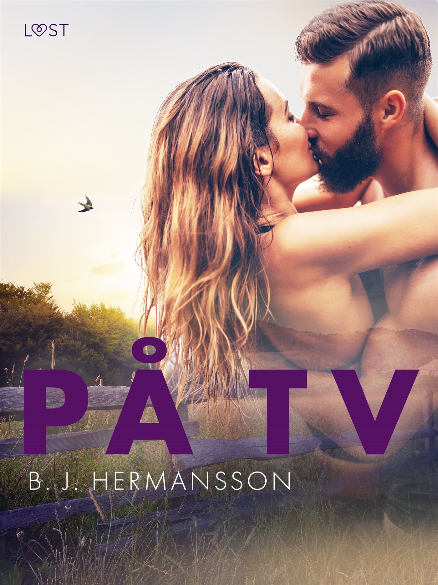 På TV - erotisk novell – E-bok