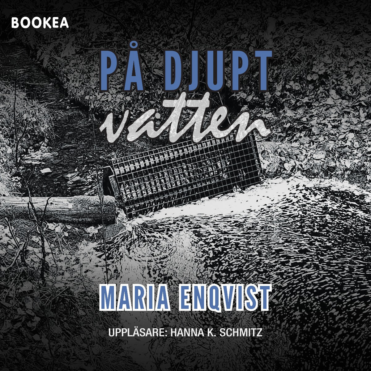 På djupt vatten – Ljudbok