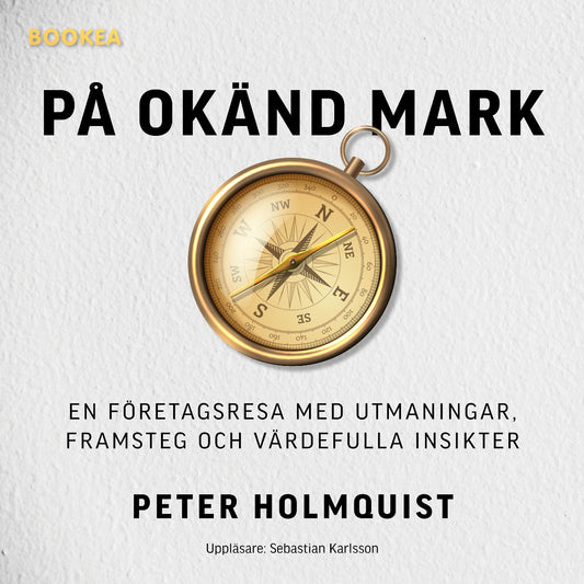 På okänd mark : en företagsresa med utmaningar, framsteg och värdefulla insikter – Ljudbok