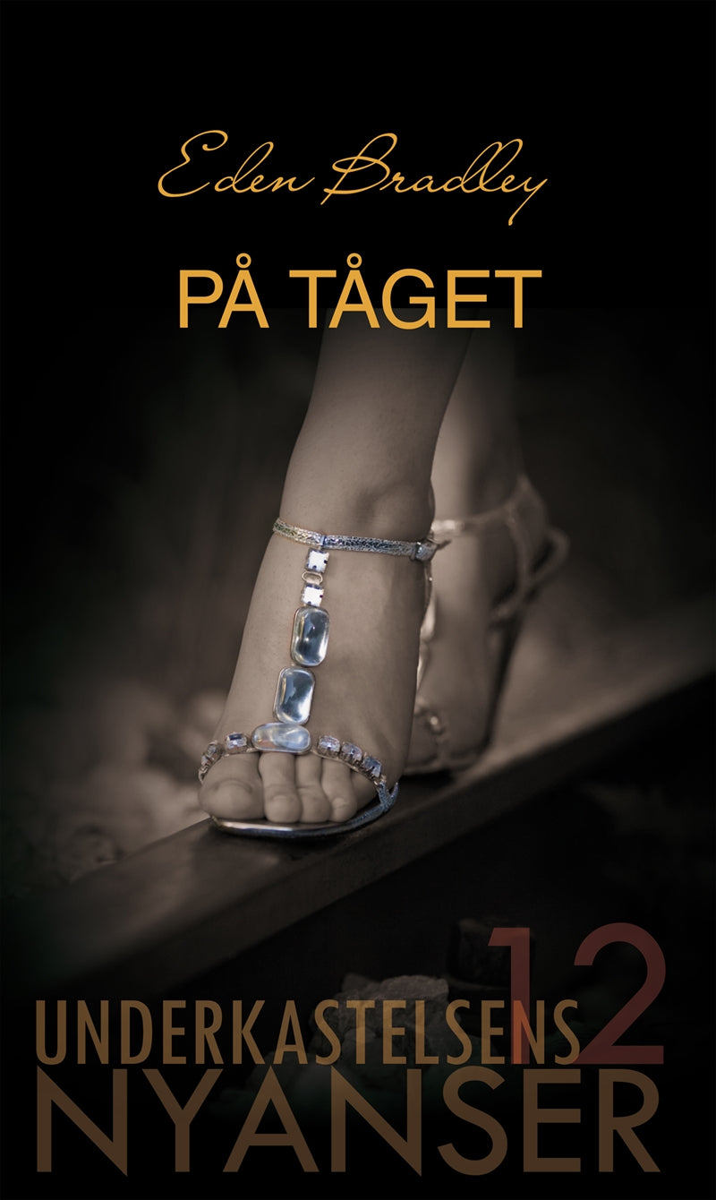 På tåget – E-bok