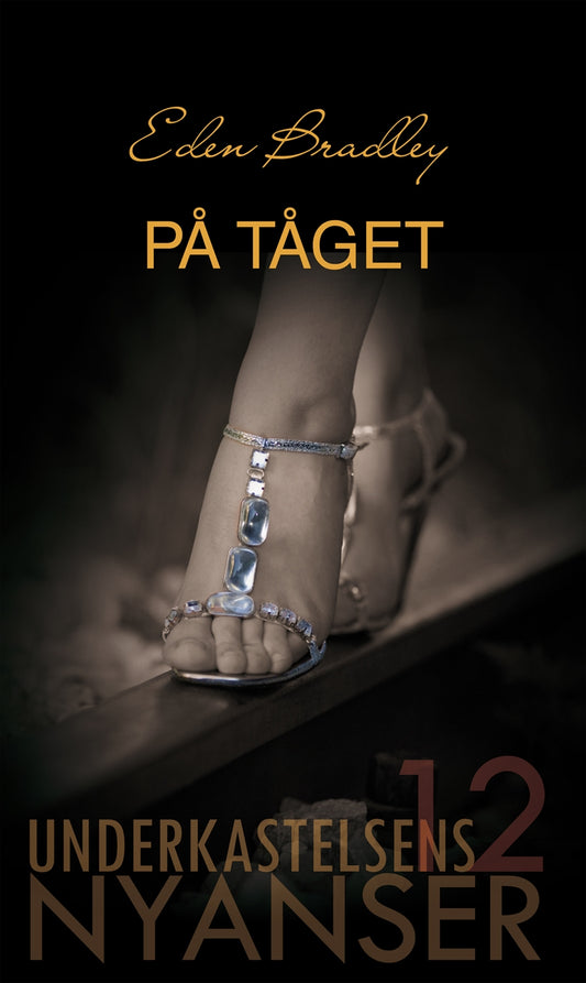 På tåget – E-bok