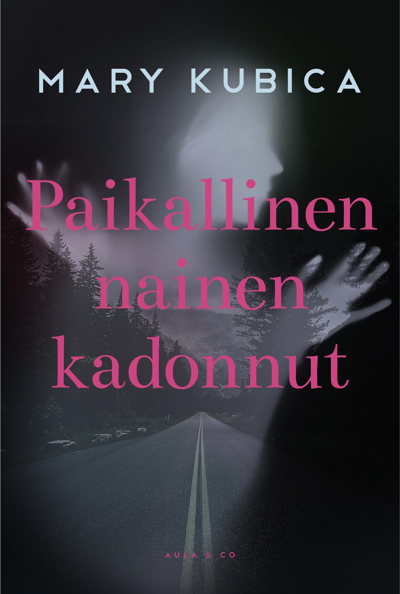 Paikallinen nainen kadonnut – E-bok