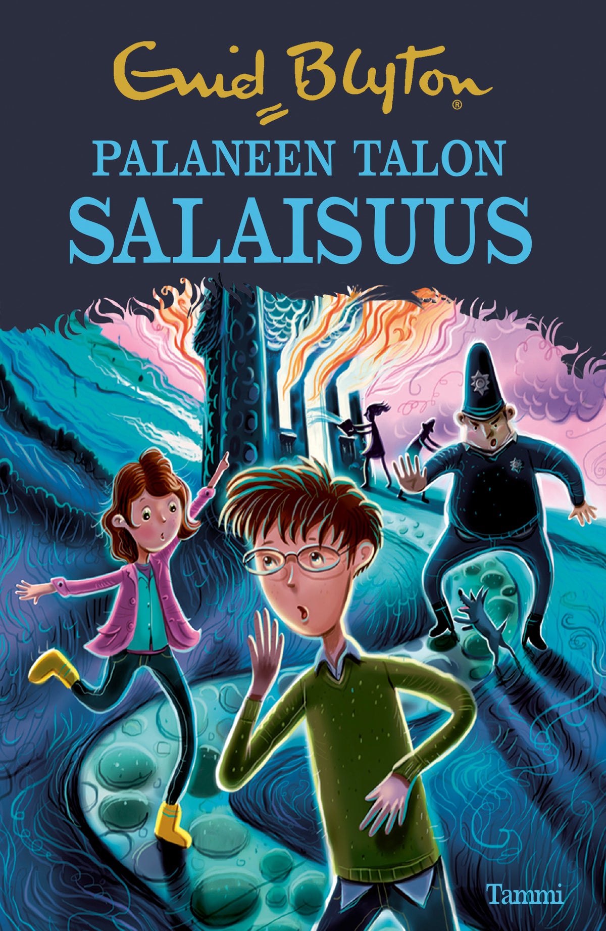 Palaneen talon salaisuus – E-bok