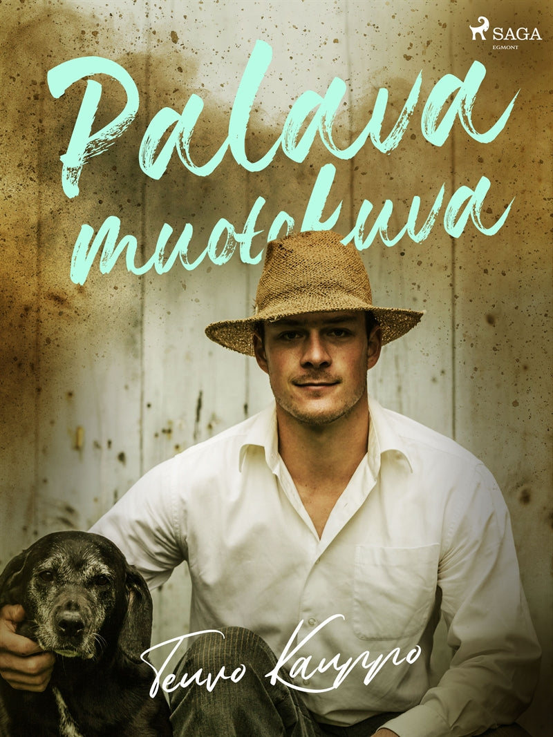 Palava muotokuva – E-bok