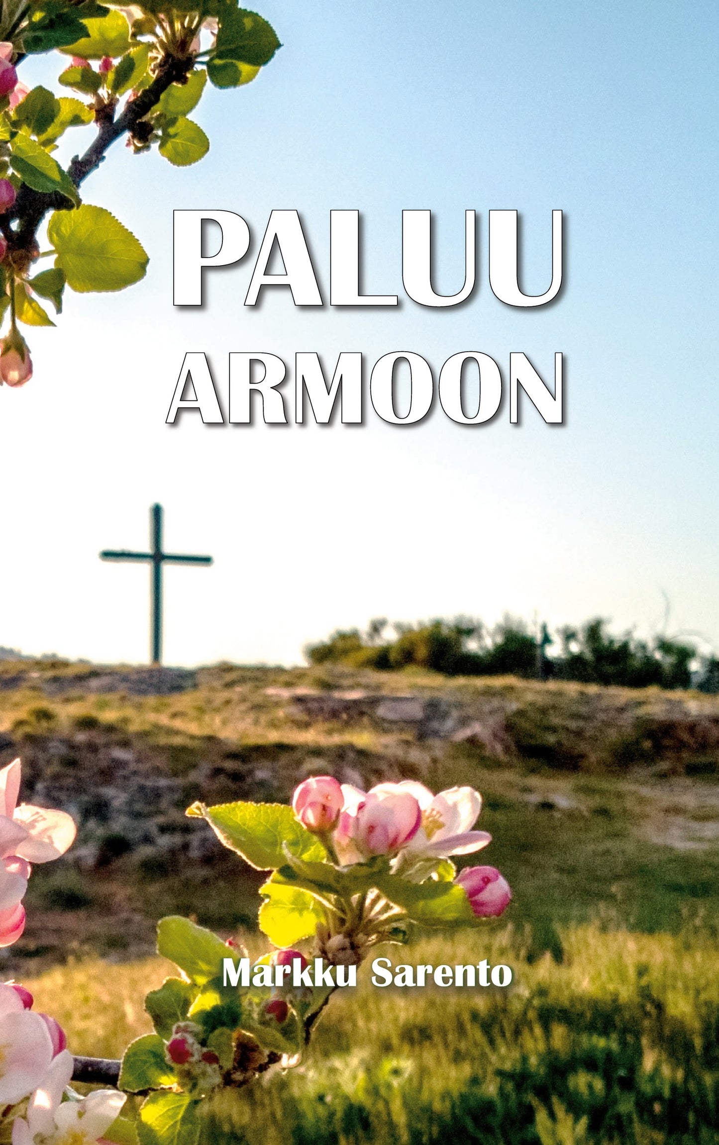 Paluu armoon – E-bok