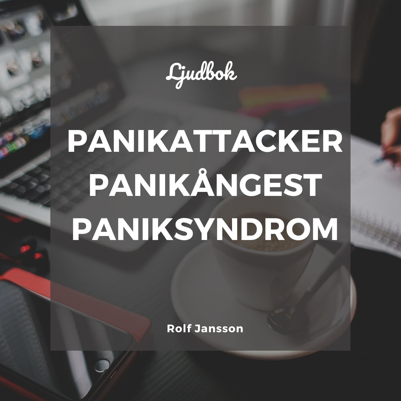 Panikångest och panikattacker: Vägen tillbaka till lugn – Ljudbok