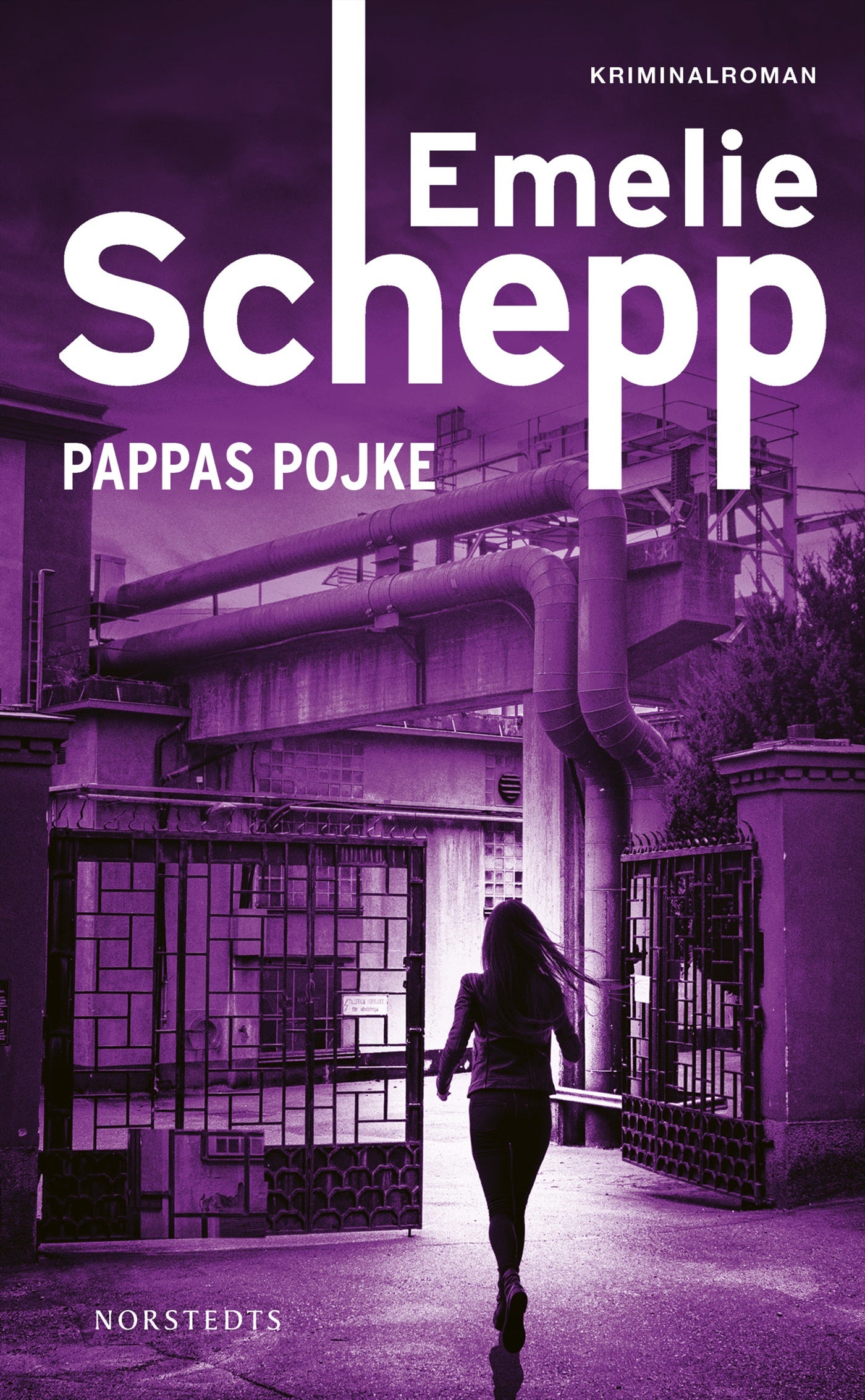 Pappas pojke – E-bok