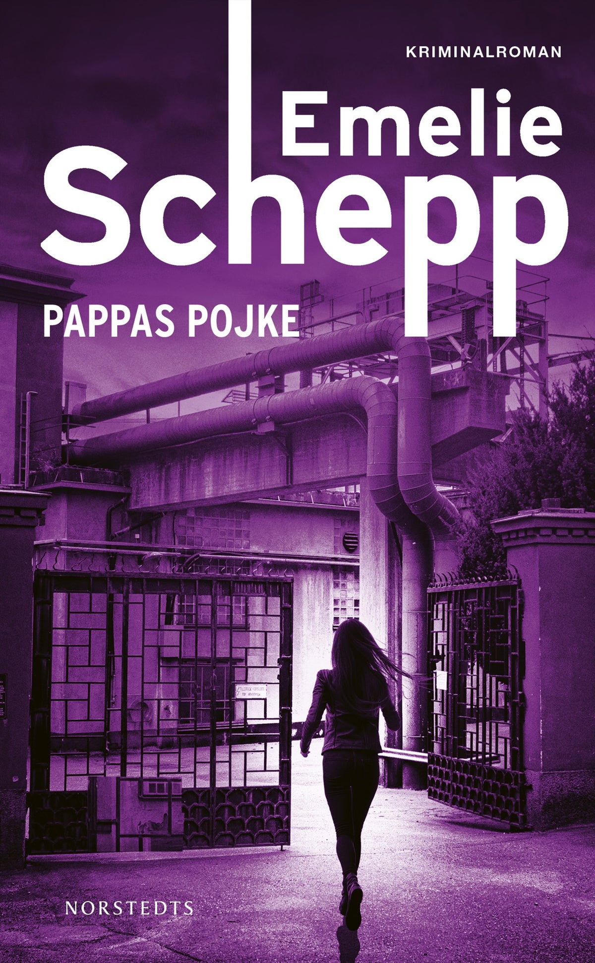 Pappas pojke – E-bok