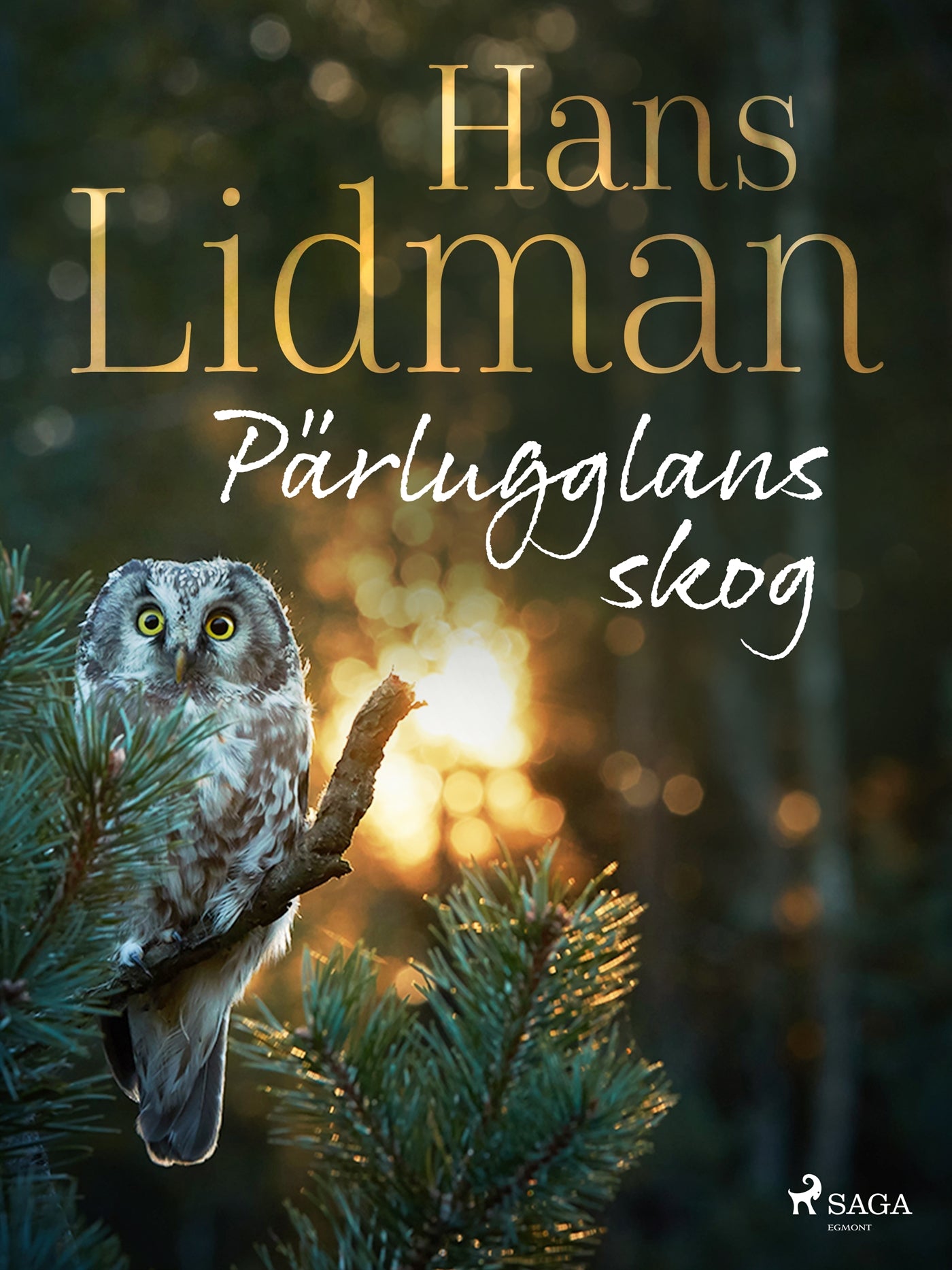 Pärlugglans skog – E-bok