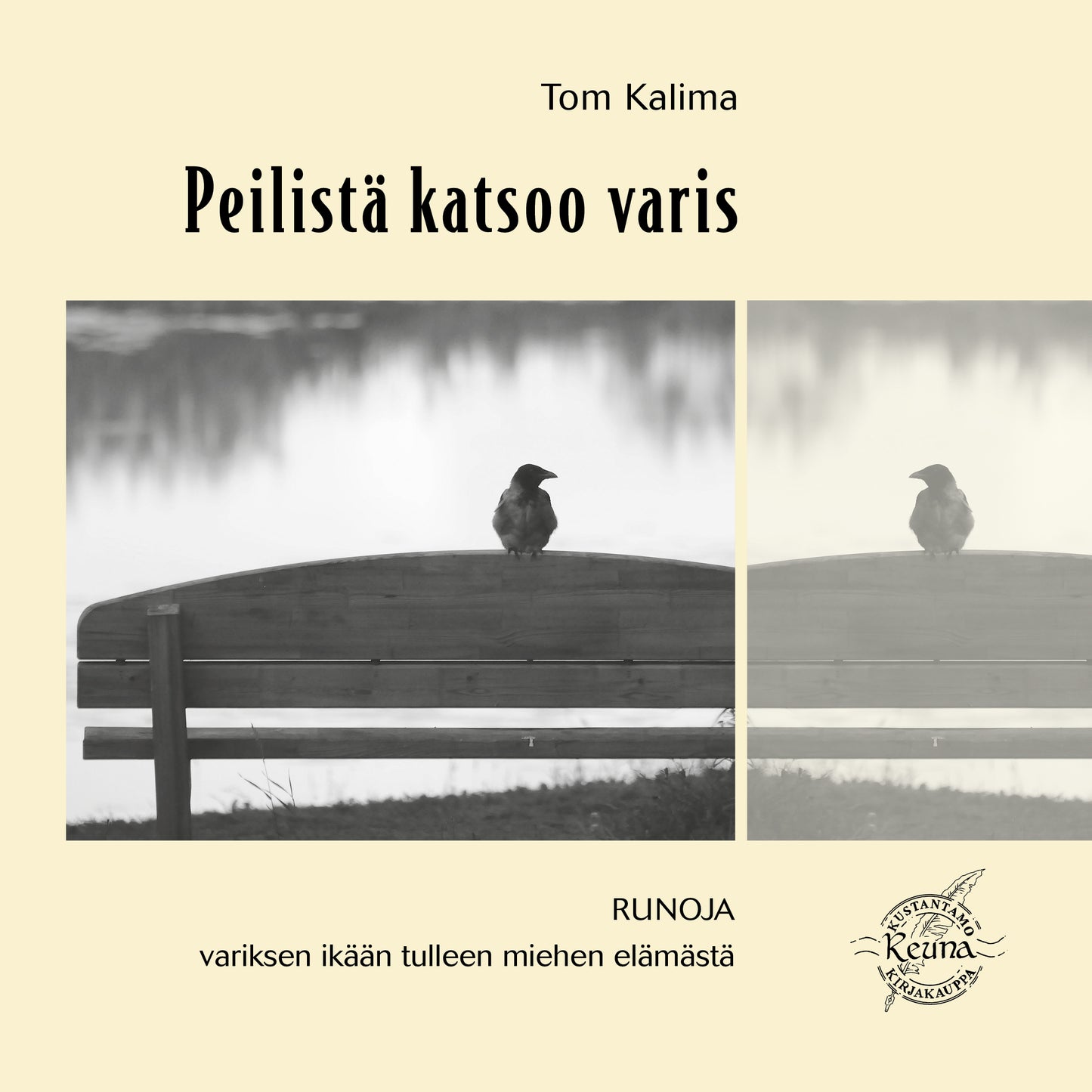Peilistä katsoo varis – Ljudbok