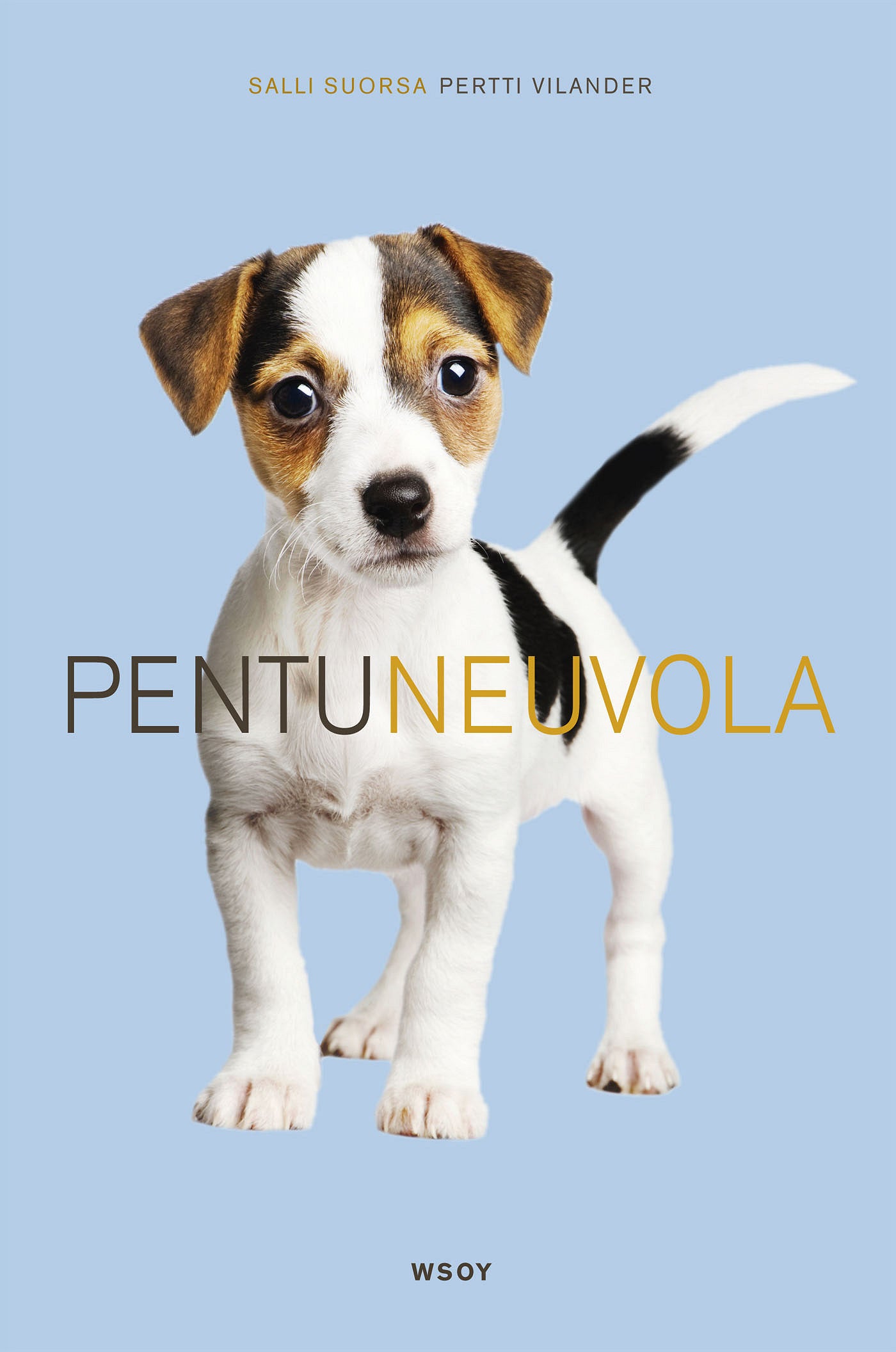 Pentuneuvola – E-bok