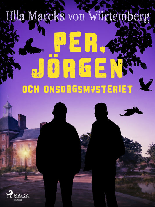 Per, Jörgen och onsdagsmysteriet – E-bok