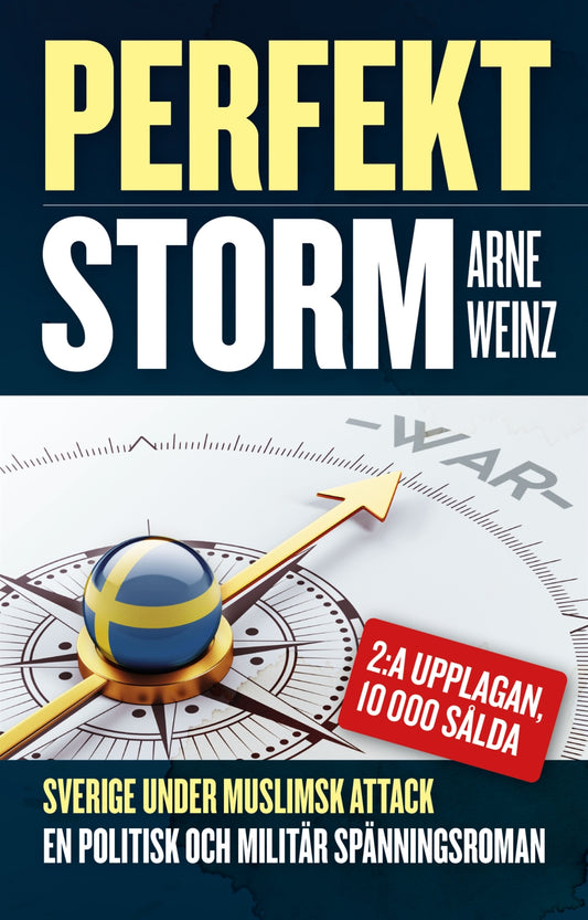 Perfekt storm – E-bok