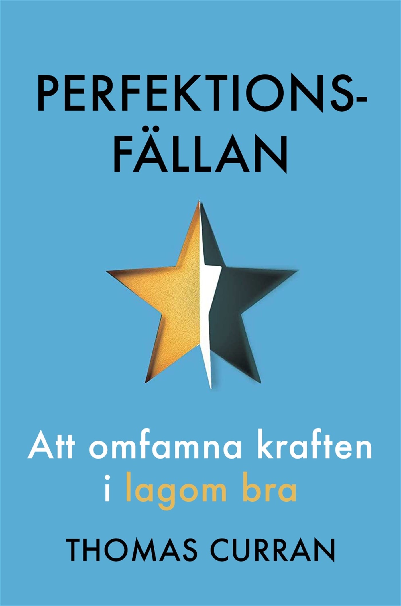 Perfektionsfällan – E-bok