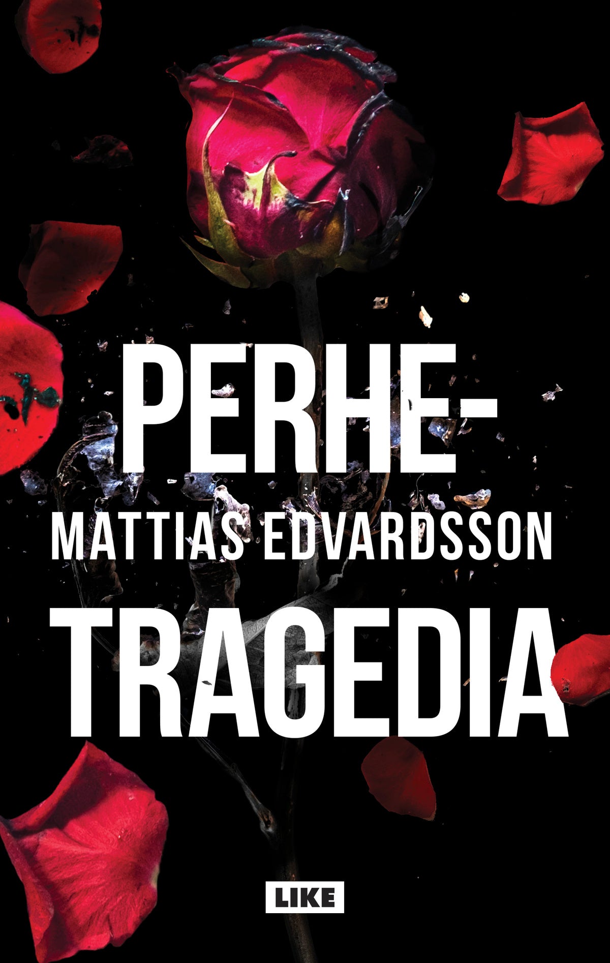 Perhetragedia – E-bok