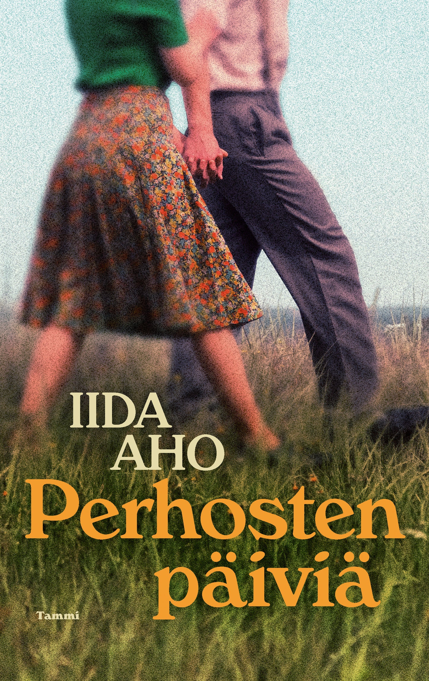 Perhosten päiviä – E-bok