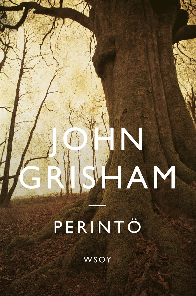 Perintö – E-bok
