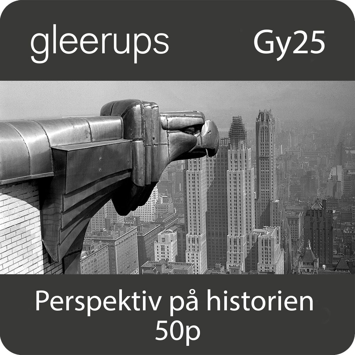 Perspektiv på historien 50p, digitalt, elev, 12 mån, Gy25