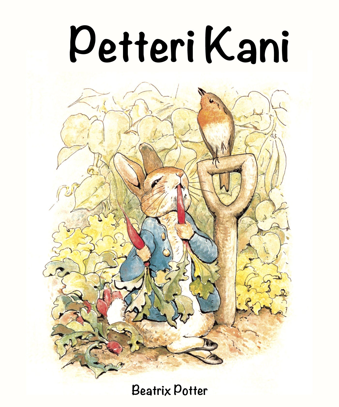 Petteri Kani – E-bok