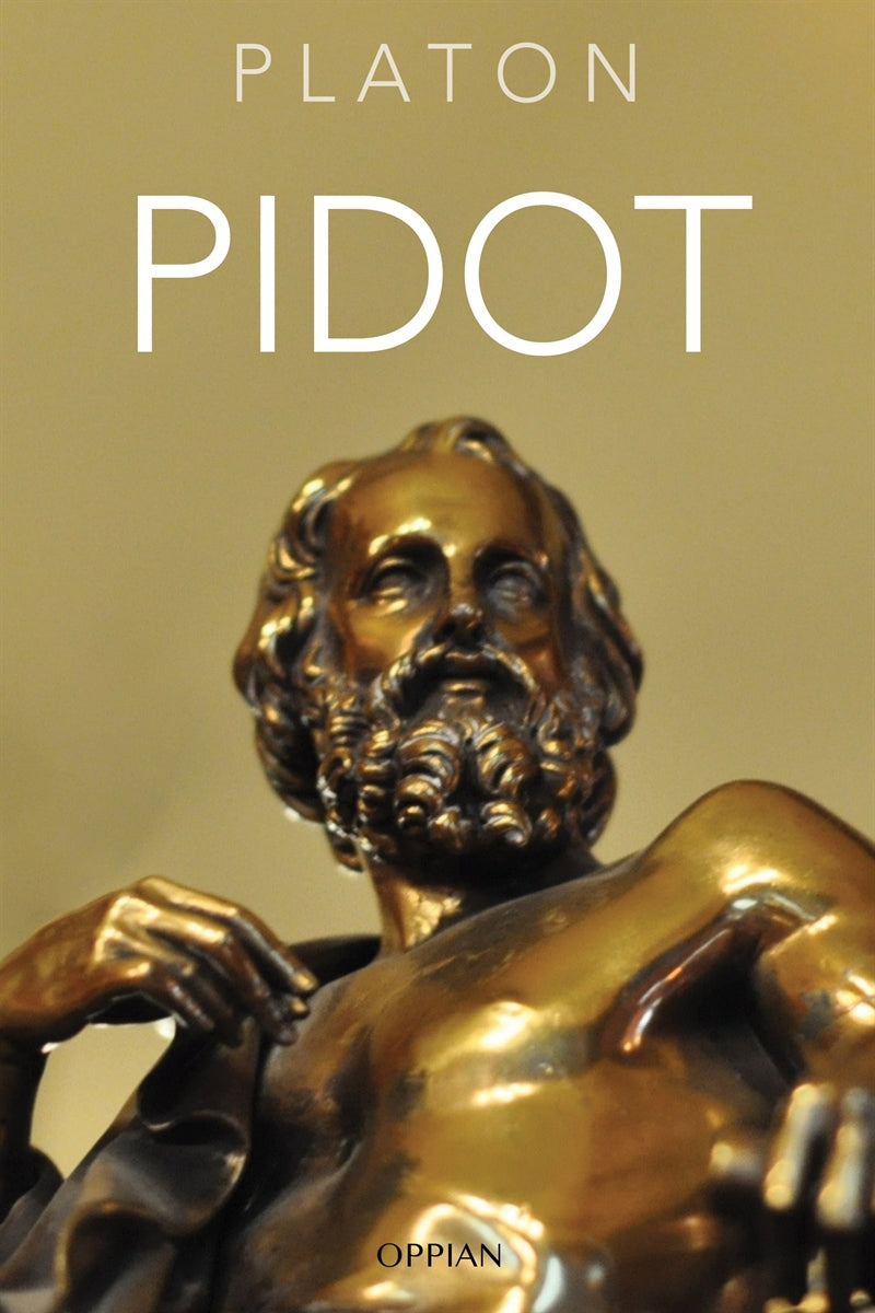 Pidot – E-bok