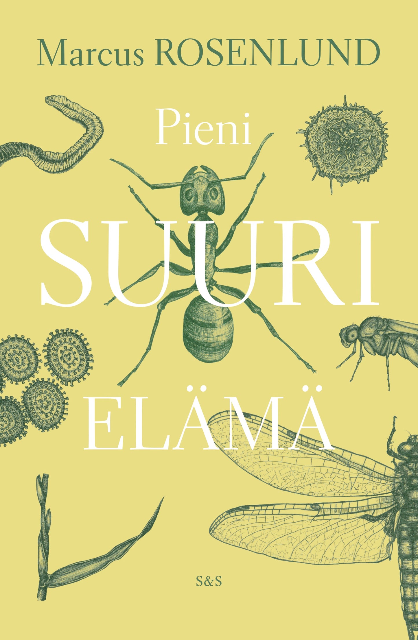 Pieni suuri elämä – E-bok
