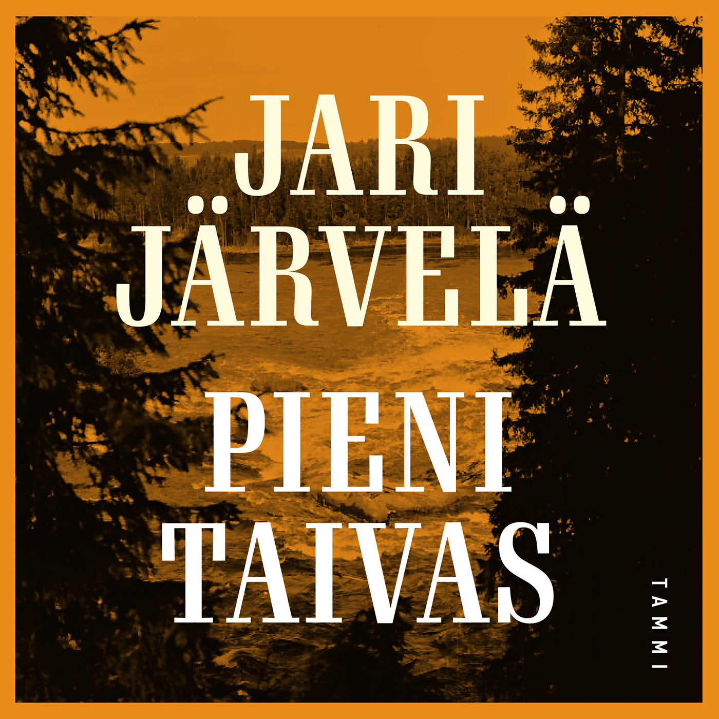 Pieni taivas – Ljudbok