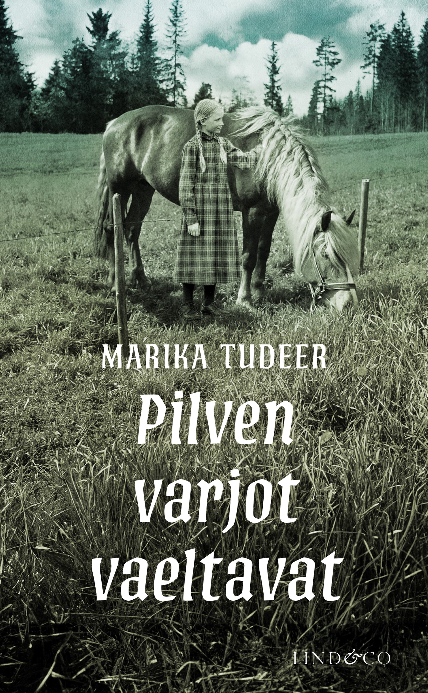 Pilven varjot vaeltavat – E-bok