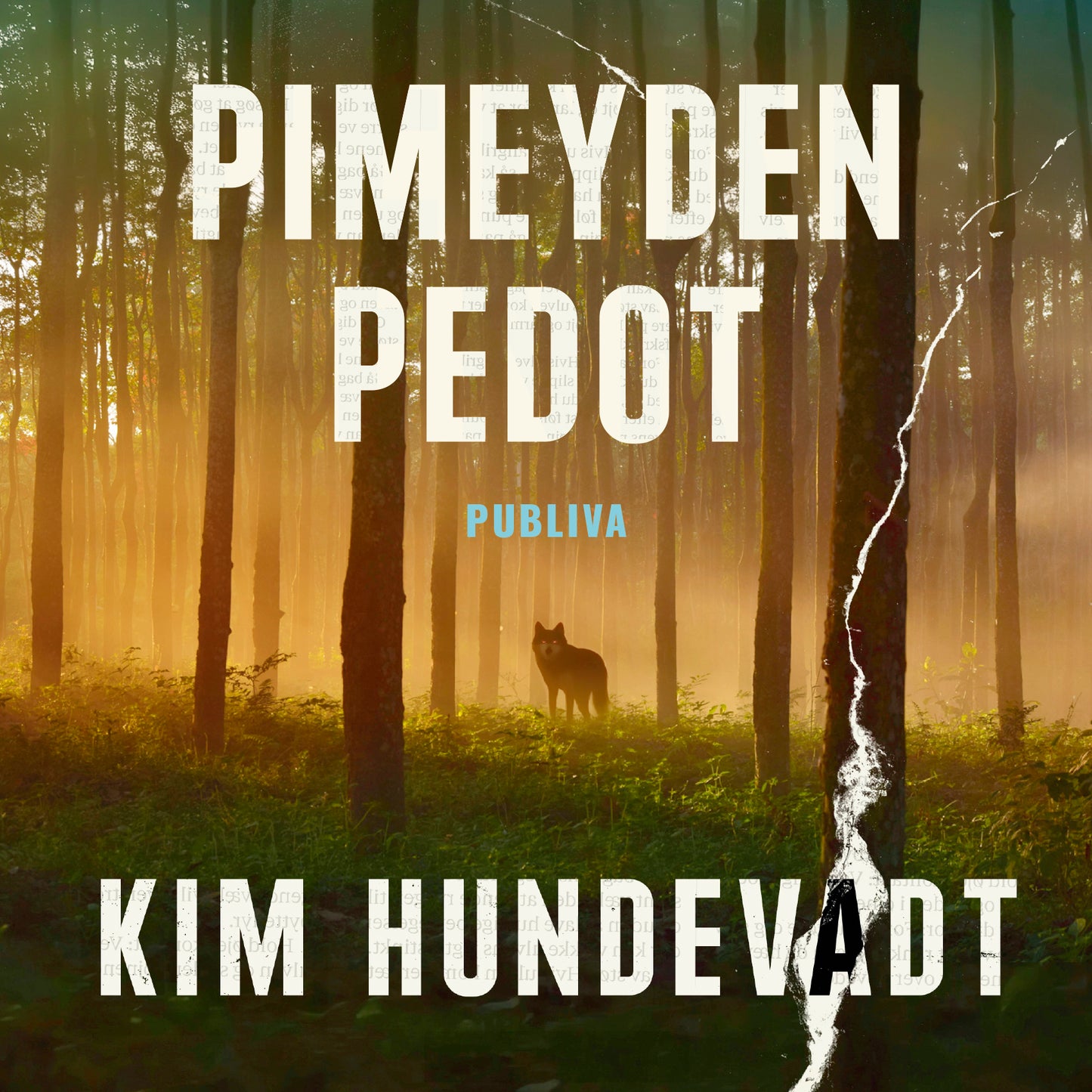 Pimeyden pedot – Ljudbok