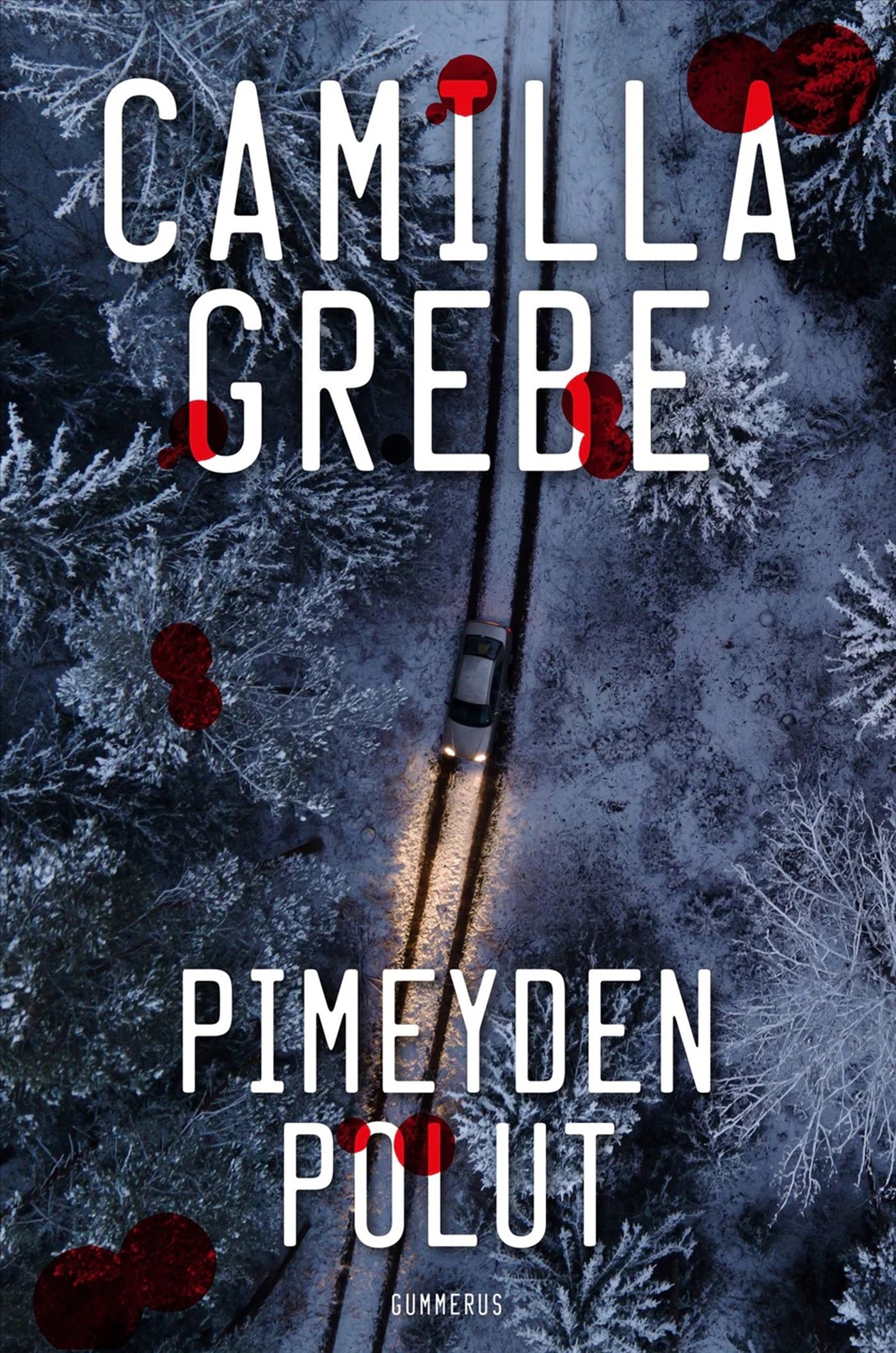 Pimeyden polut – E-bok