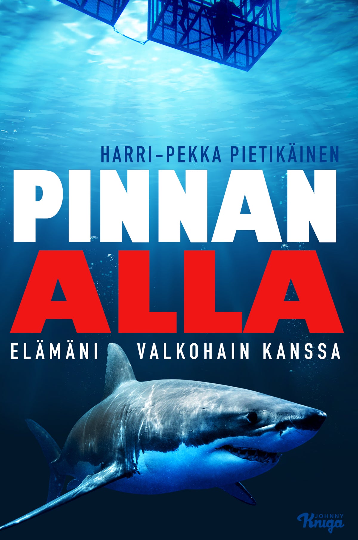 Pinnan alla – E-bok