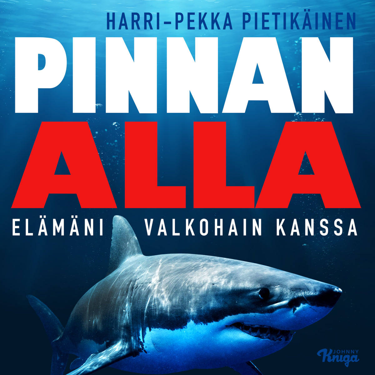 Pinnan alla – Ljudbok