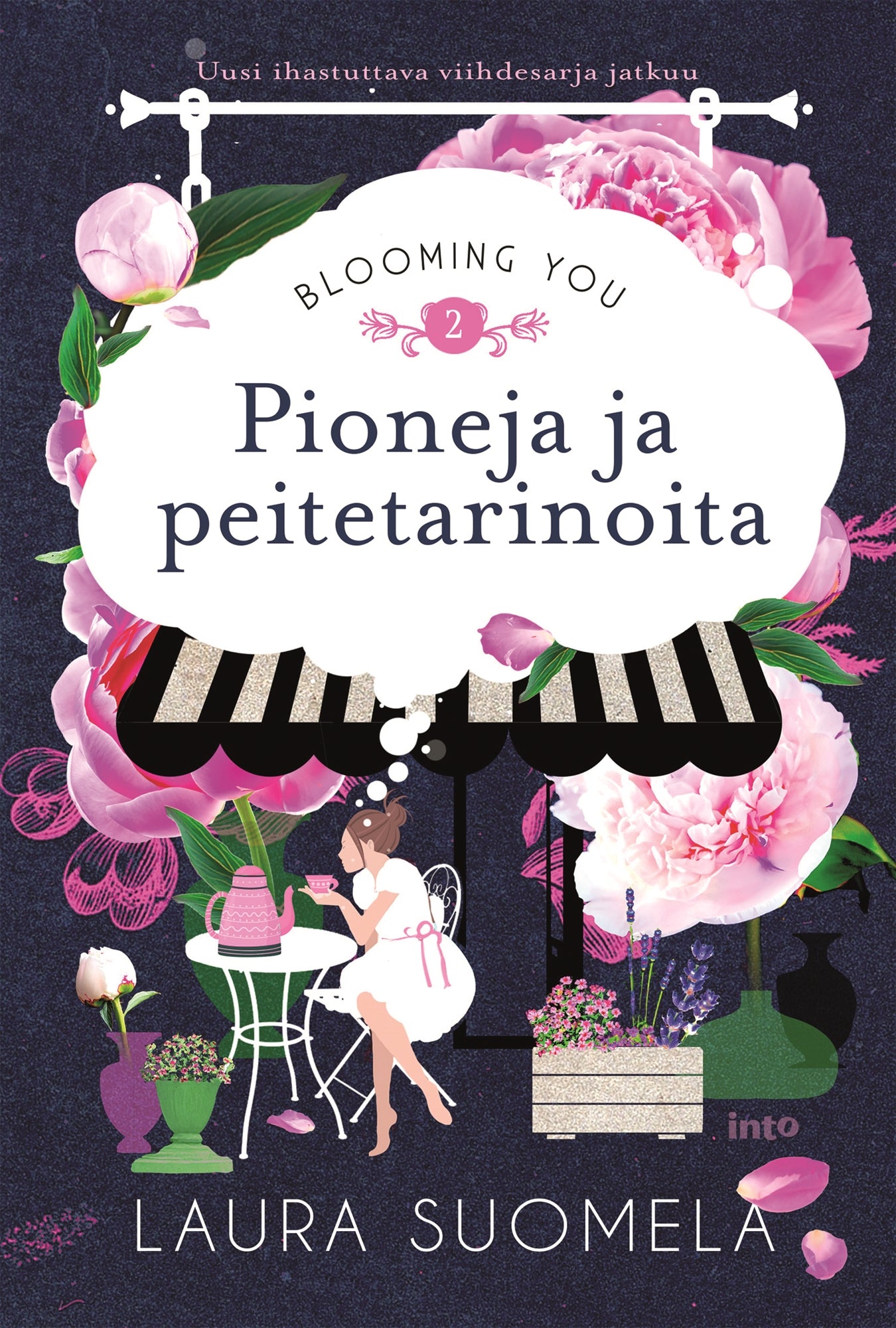 Pioneja ja peitetarinoita – E-bok