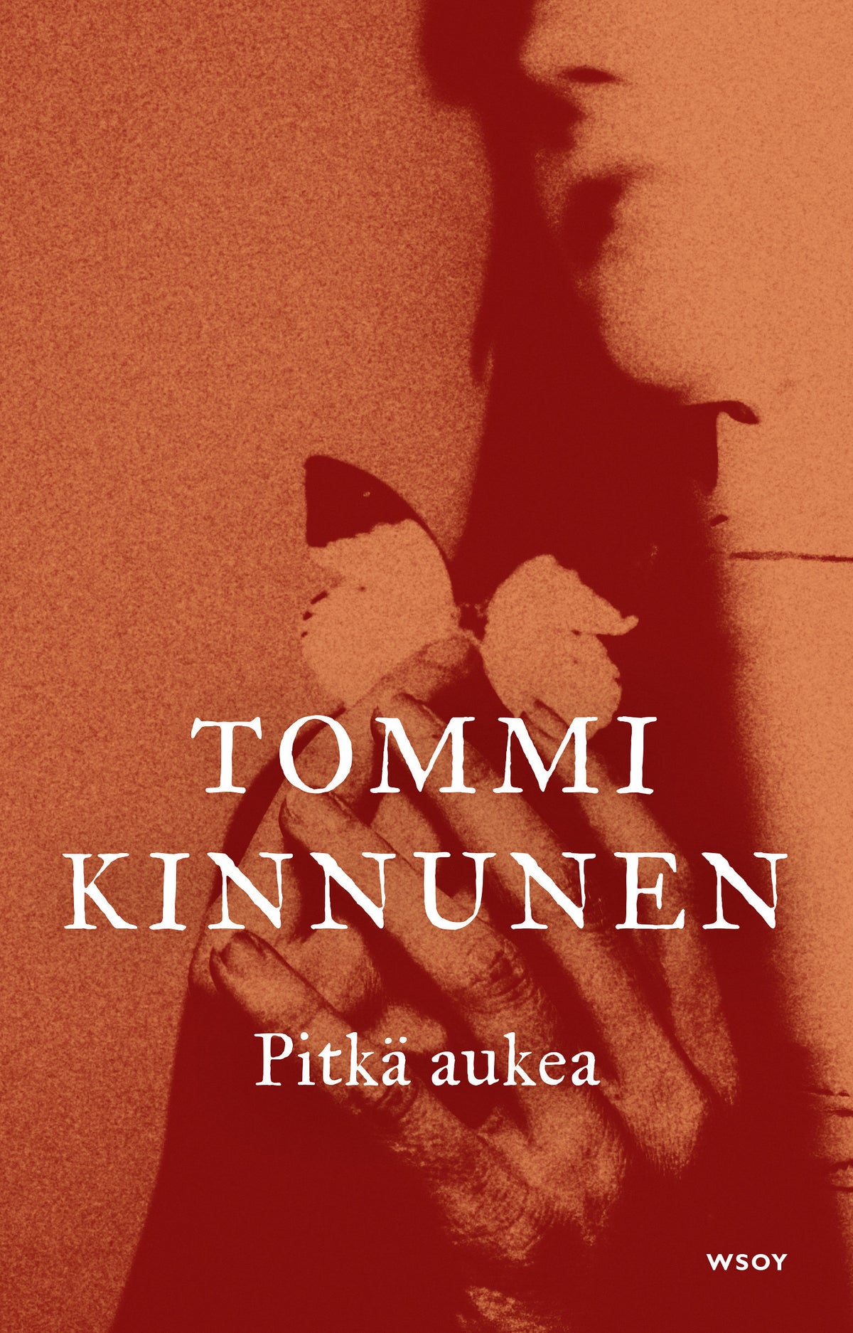 Pitkä aukea – E-bok