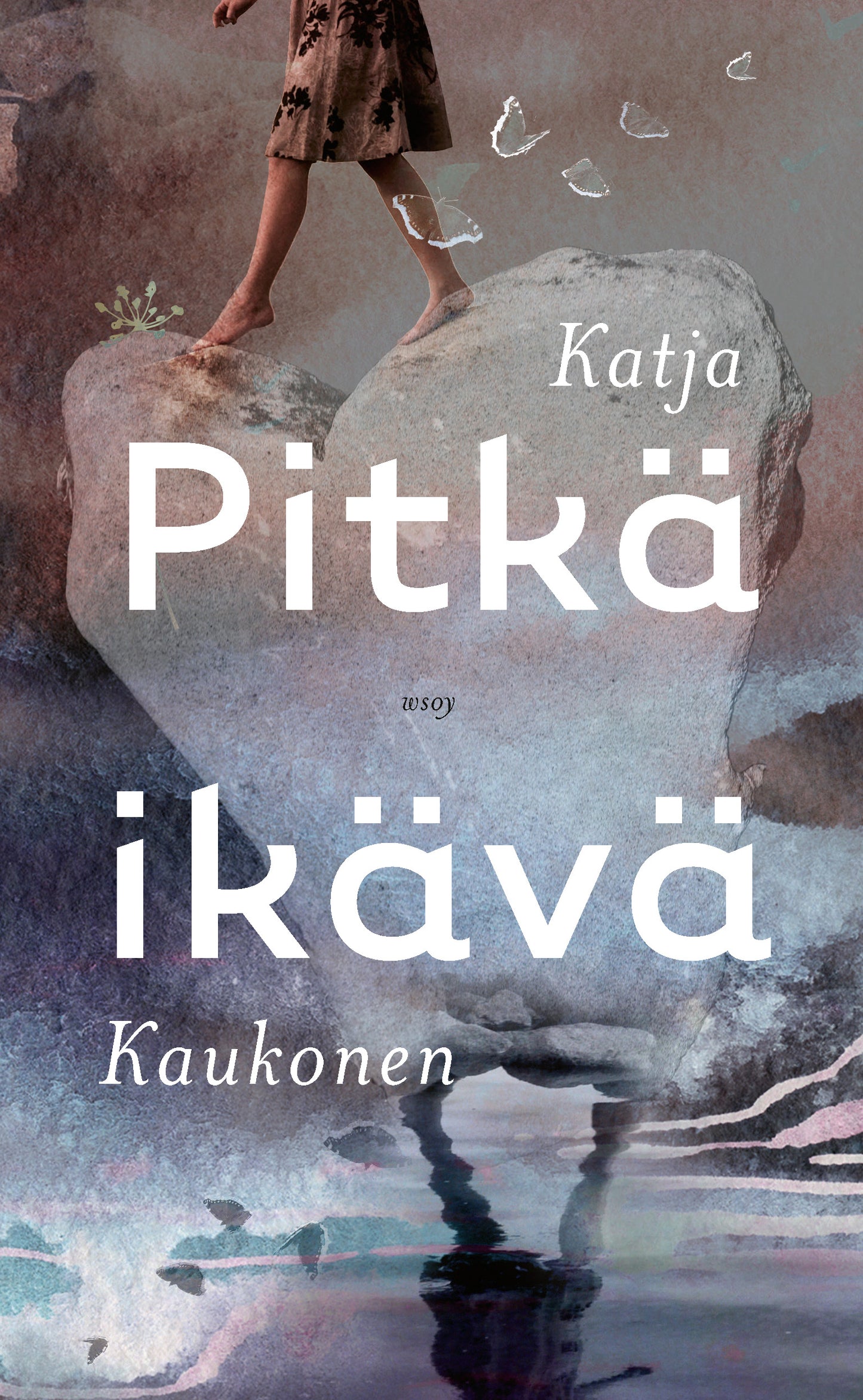 Pitkä ikävä  – E-bok
